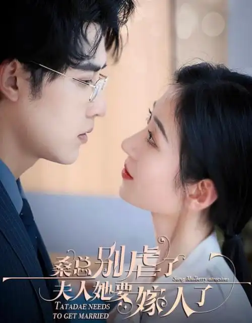 第二十条-爱看影院在线观看